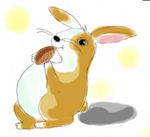 rabit_color.jpg